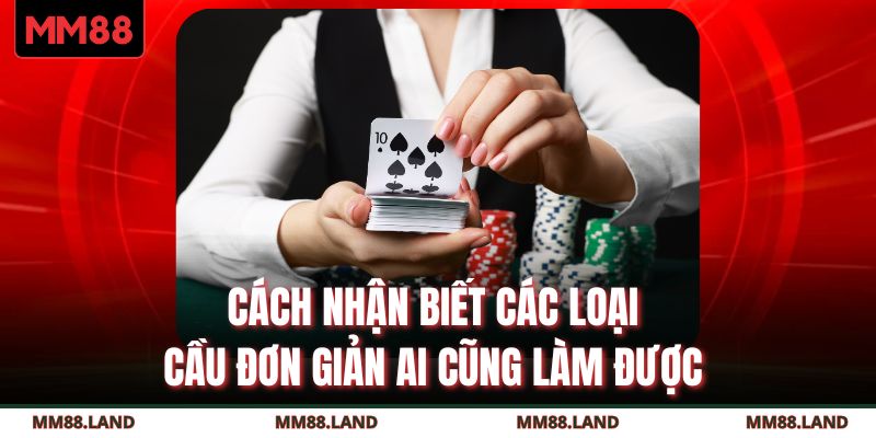 Cách nhận biết các loại cầu đơn giản ai cũng làm được
