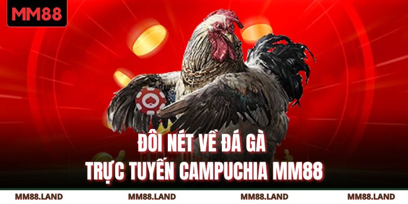 Đôi nét về đá gà trực tuyến Campuchia MM88